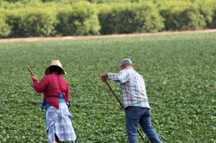 Radiação solar e direito ao adicional de insalubridade (provas)
