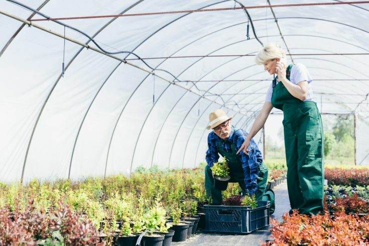 Tema 1104 do STF sobre a Aposentadoria Híbrida