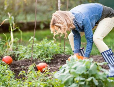 Como provar atividade rural