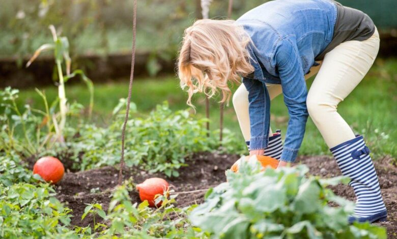Como provar atividade rural