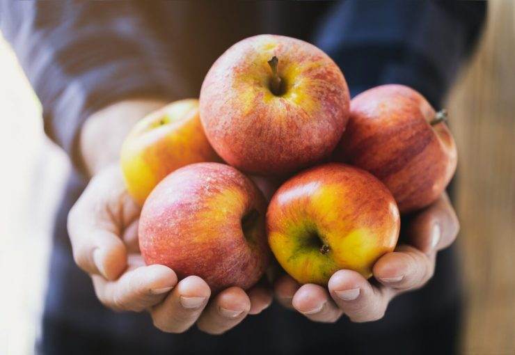 Utilização do tempo rural para a aposentadoria urbana