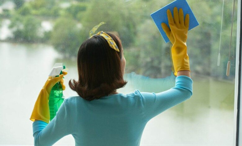 trabalhador doméstico