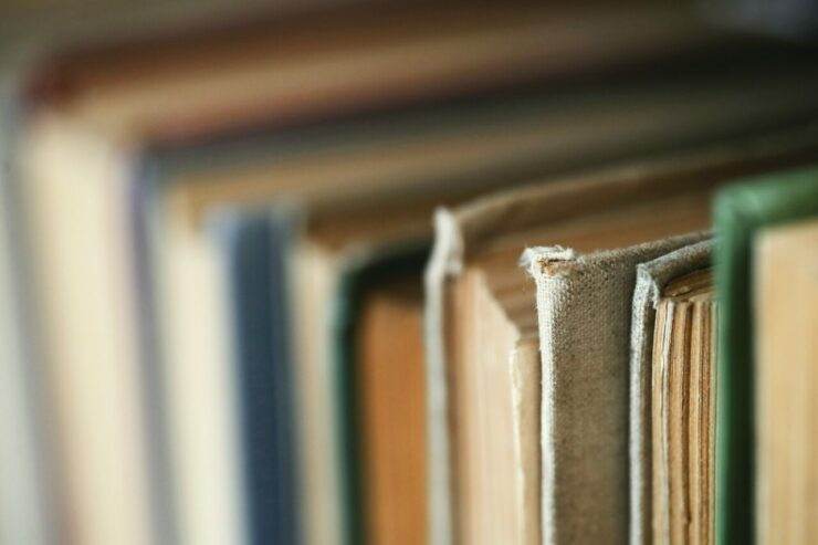 Direitos da empregada gestante