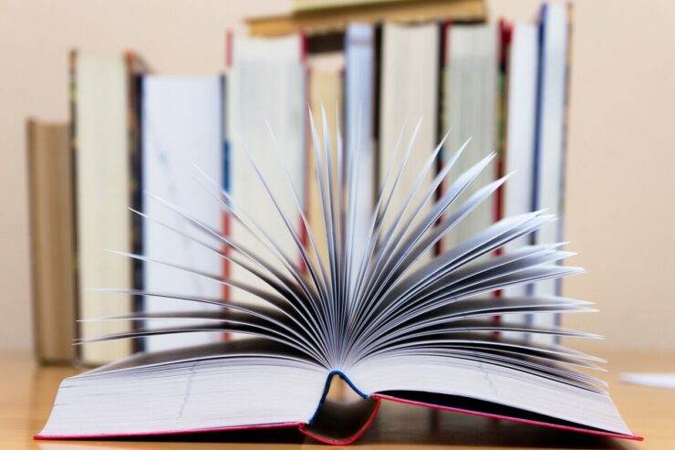 Justiça Gratuita e honorários de sucumbência 