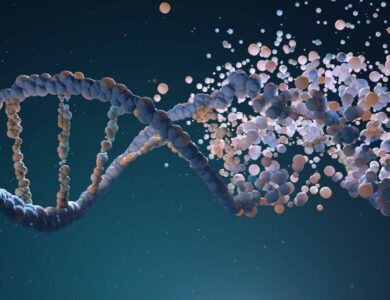DNA strand assembling from different elements