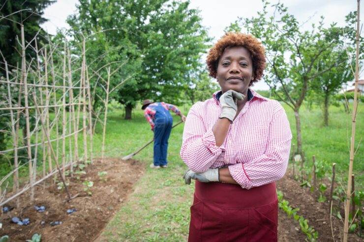 Aposentadoria por idade rural