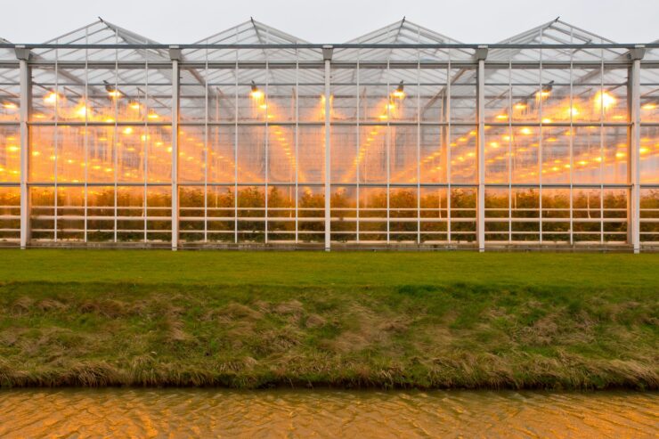 Exemplos de trabalhador exposto ao calor