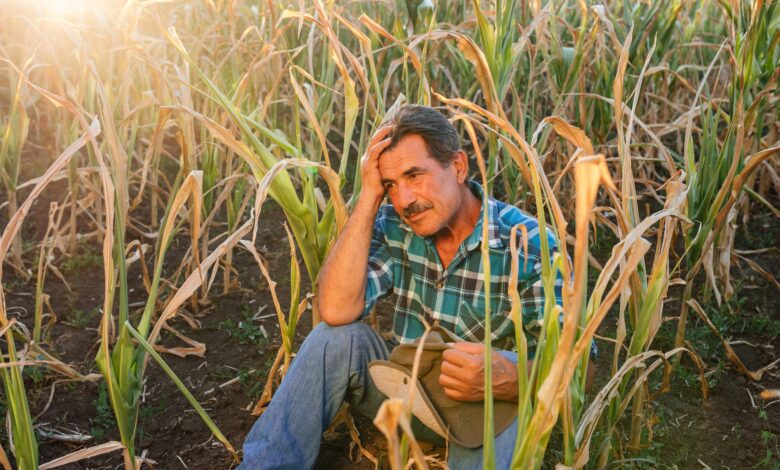 Aposentadoria especial por exposição ao calor
