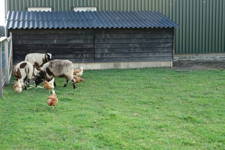 tempo rural para aposentadoria